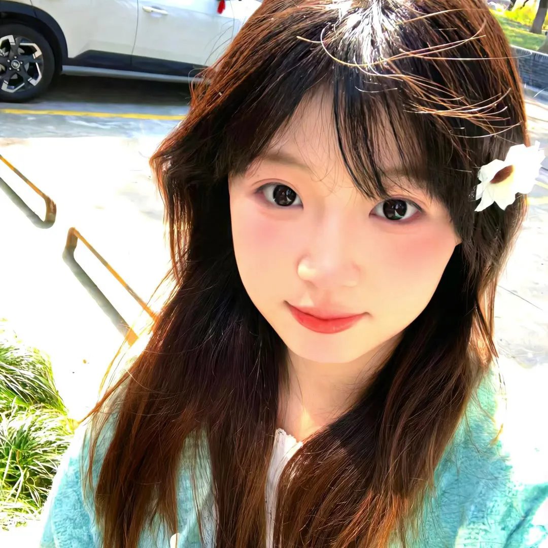招惹玫瑰